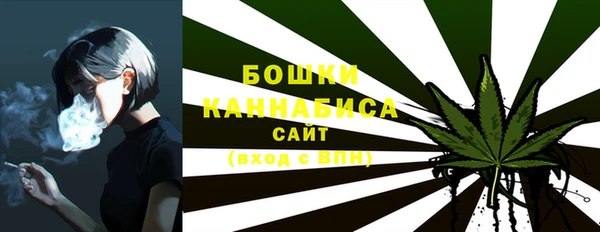 дживик Киреевск