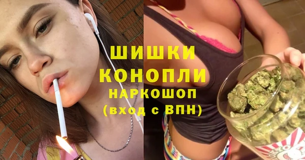 дживик Киреевск