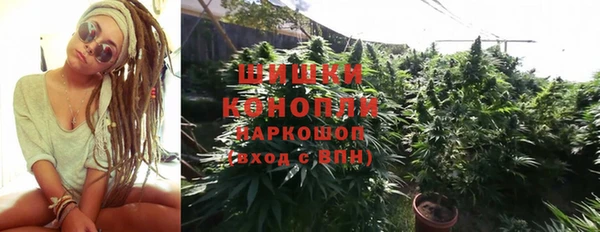 дживик Киреевск
